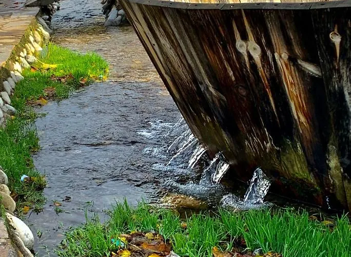 Charming Near Gondola & Bar Street, Cedar 1 Complex Bansko